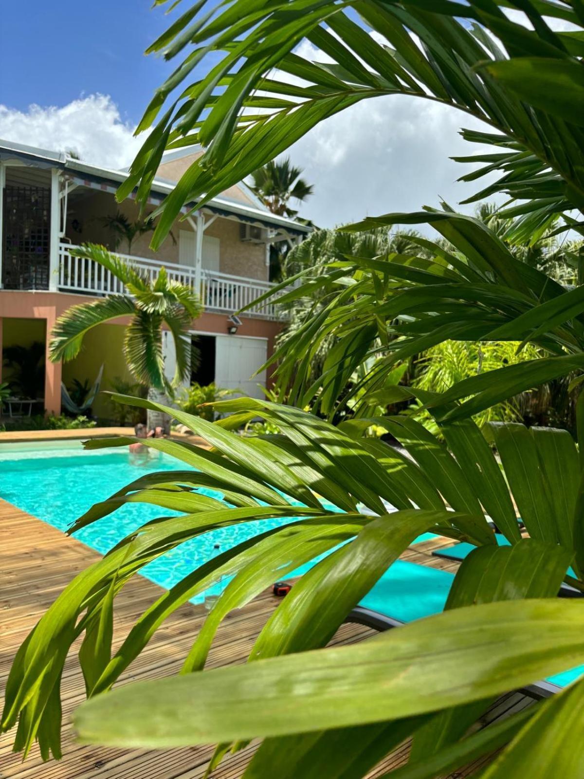 Le Petit Havre Tropical Guadeloupe, Gite, Massages & Spa Saint-Francois  Extérieur photo