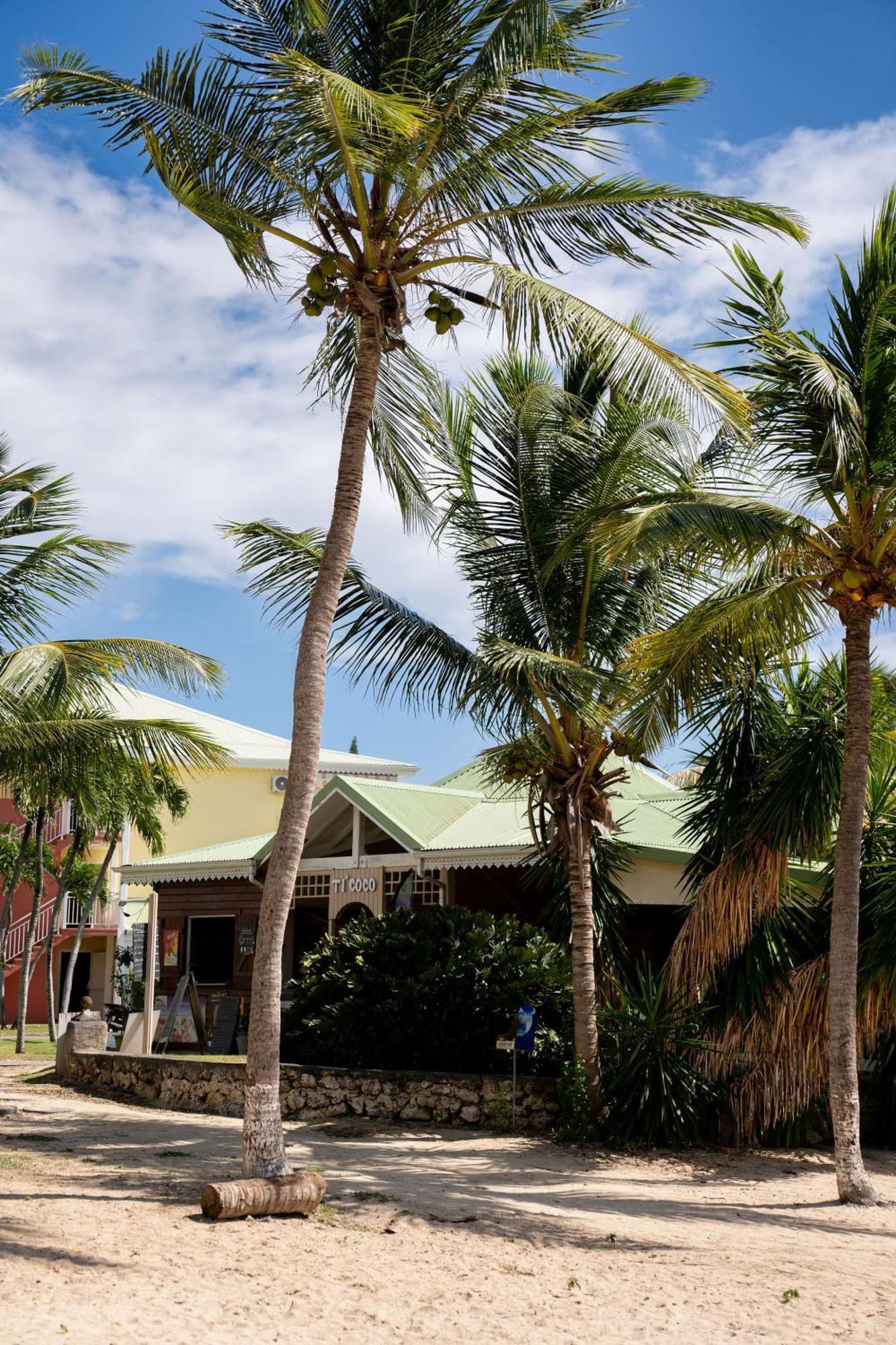Le Petit Havre Tropical Guadeloupe, Gite, Massages & Spa Saint-Francois  Extérieur photo