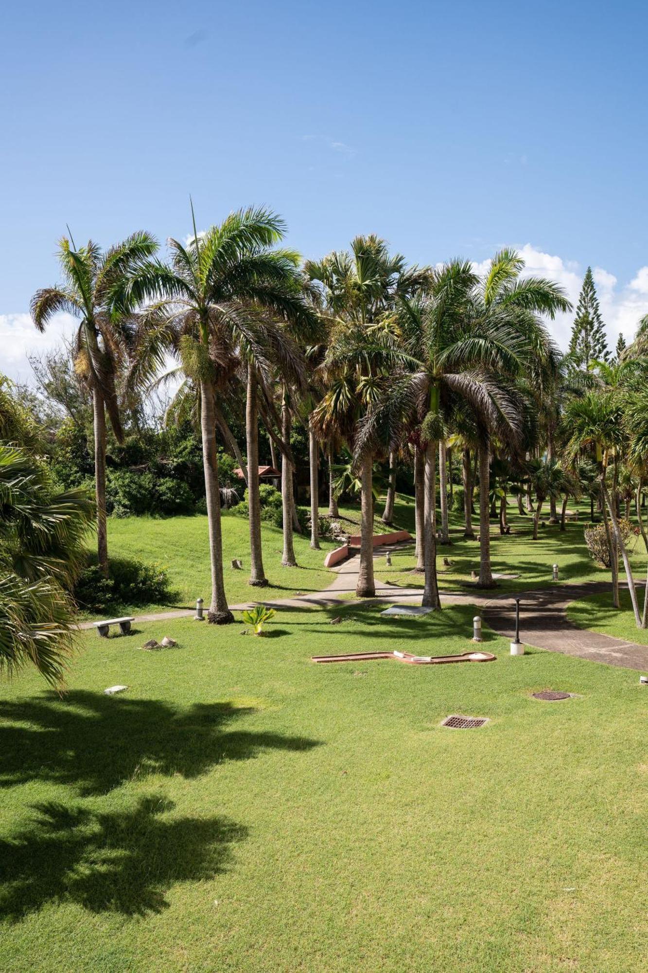 Le Petit Havre Tropical Guadeloupe, Gite, Massages & Spa Saint-Francois  Extérieur photo
