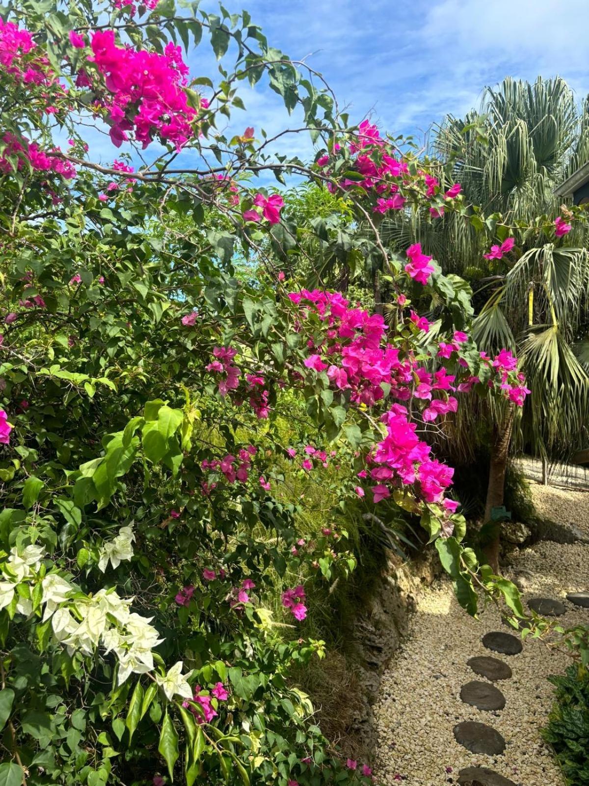 Le Petit Havre Tropical Guadeloupe, Gite, Massages & Spa Saint-Francois  Extérieur photo
