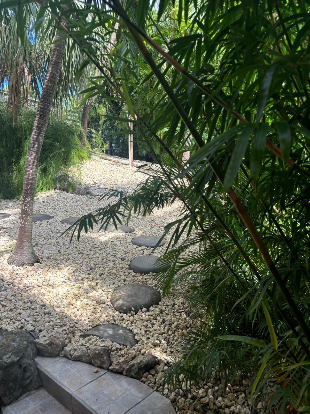 Le Petit Havre Tropical Guadeloupe, Gite, Massages & Spa Saint-Francois  Extérieur photo