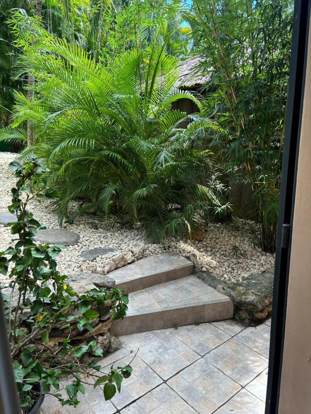 Le Petit Havre Tropical Guadeloupe, Gite, Massages & Spa Saint-Francois  Extérieur photo